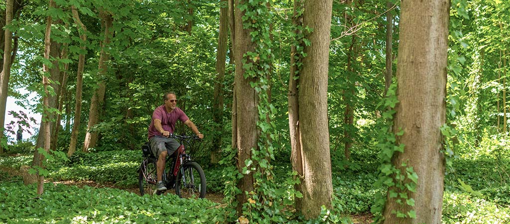 8 Health Benefits of Riding an Electric Bike - EVELO
