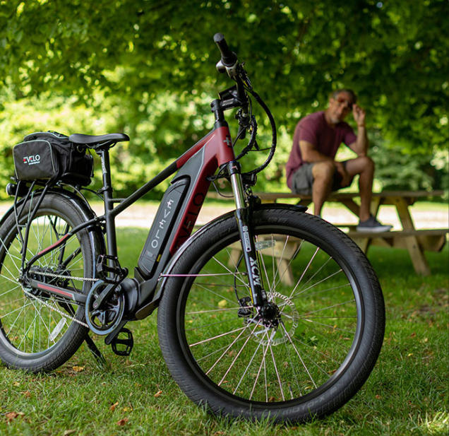 Preventing and Treating Health Complications: Alzheimer’s, Parkinson’s, Heart Disease, Diabetes, and Joint Health