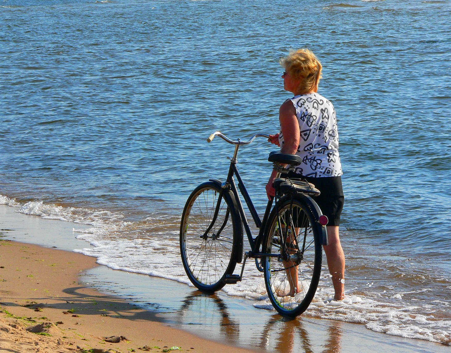 Conquer Every Obstacle with Your Electric Bike - EVELO