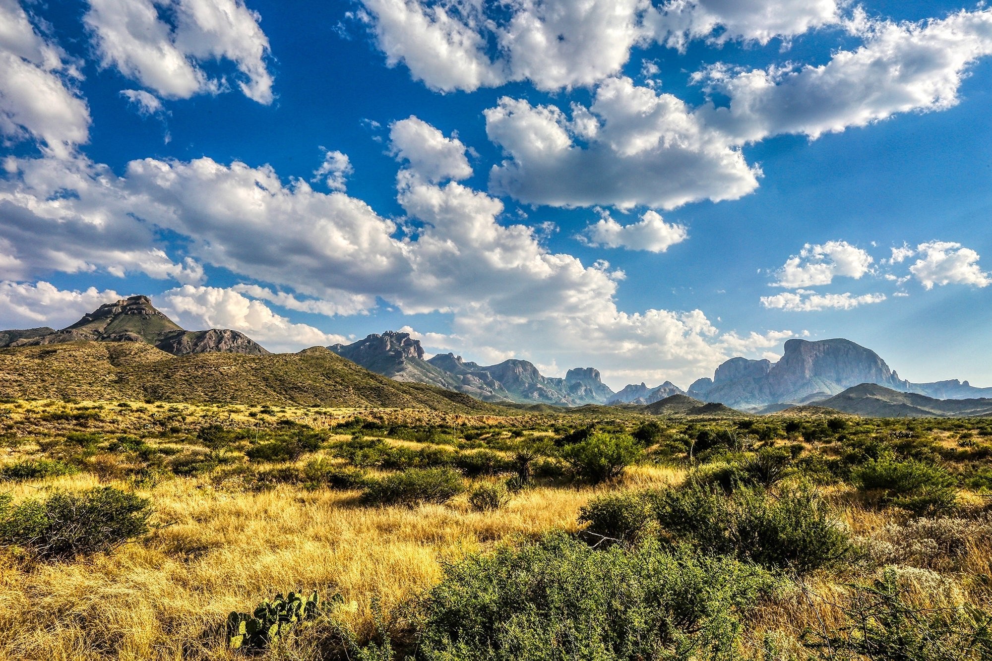 Top places to ride your eBike in Texas - EVELO
