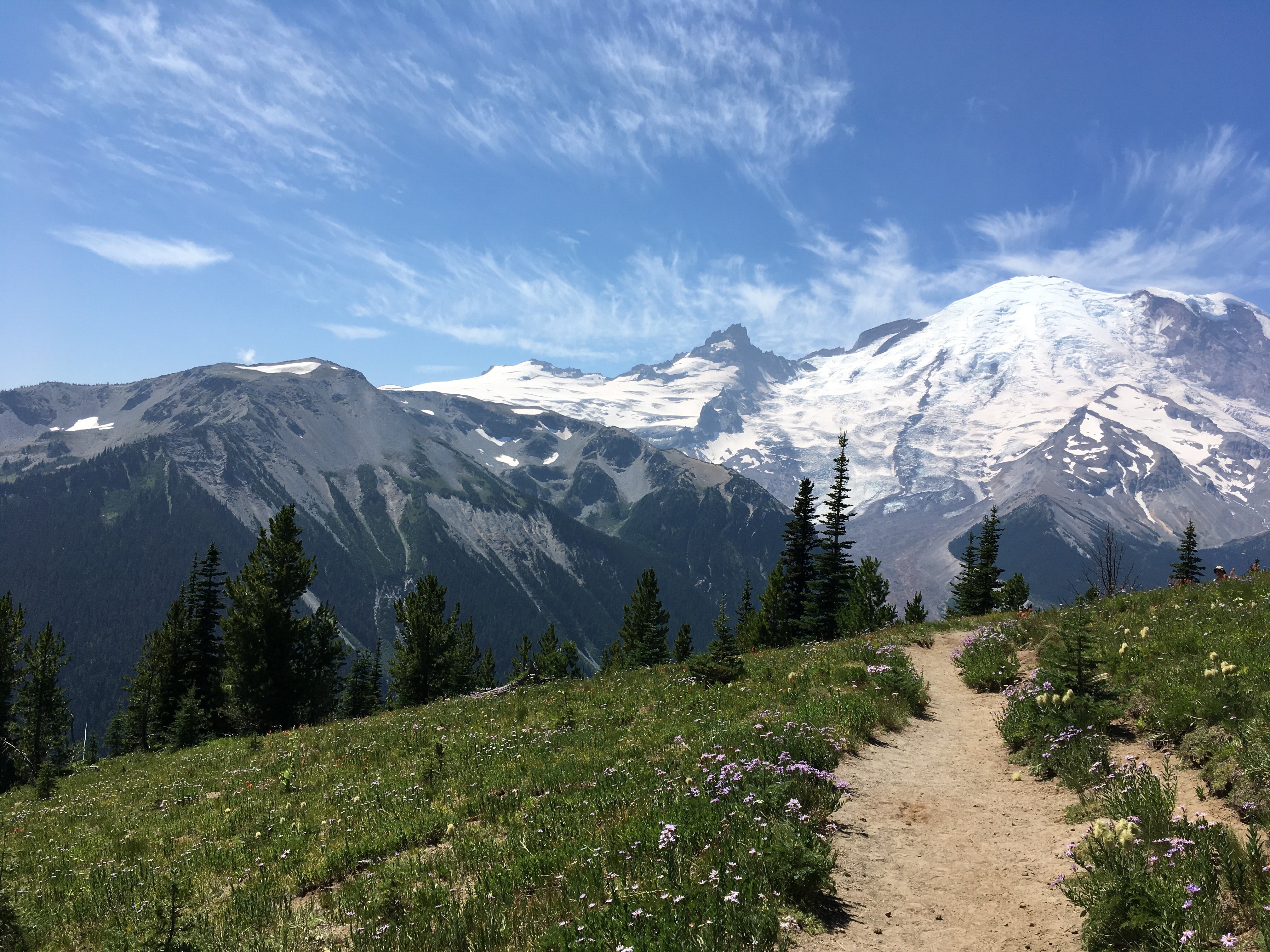 Top Places to Ride Your eBike in Washington - EVELO