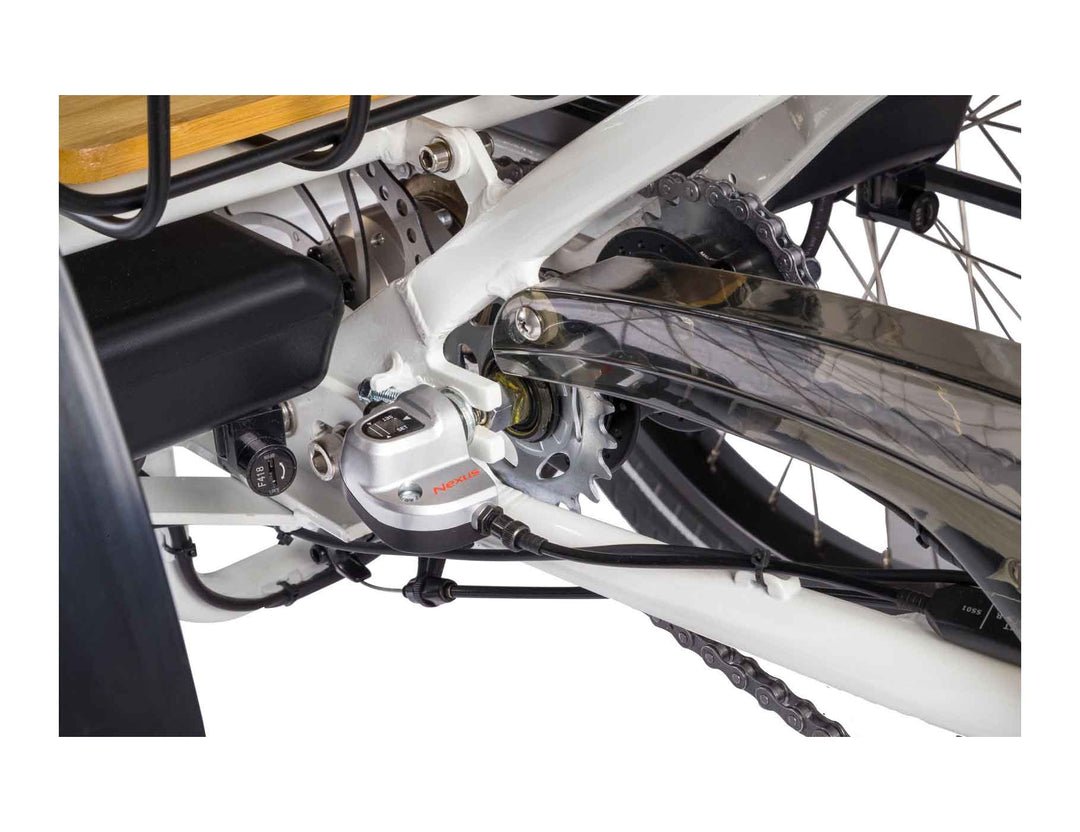 EVELO Compass Electric Trike - EVELO