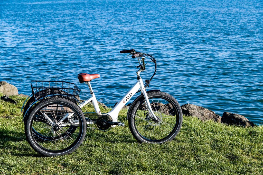 EVELO Compass Electric Trike - EVELO
