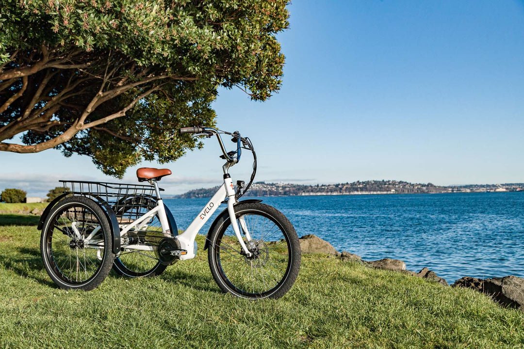EVELO Compass Electric Trike - EVELO