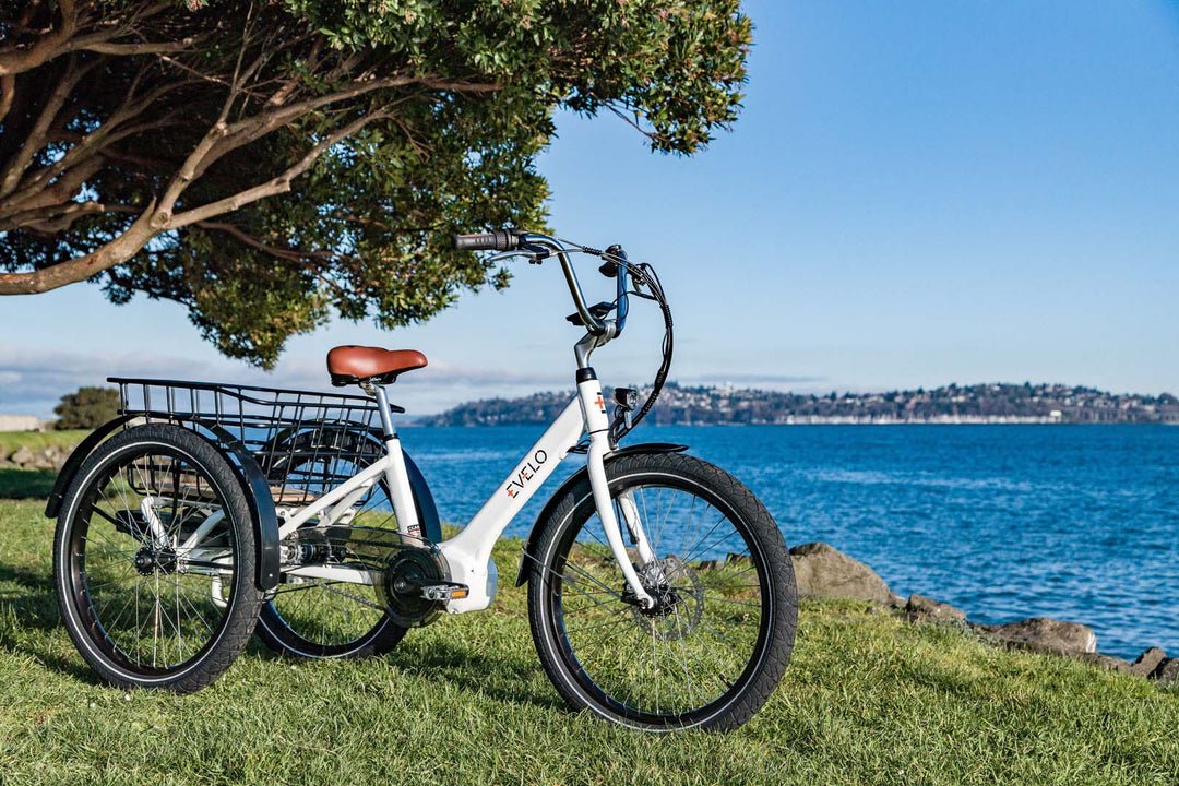 EVELO Compass Electric Trike - EVELO