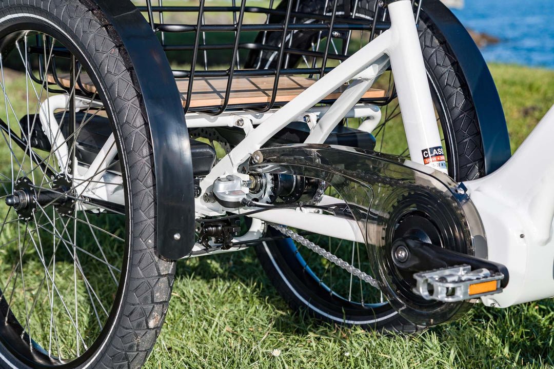 EVELO Compass Electric Trike - EVELO