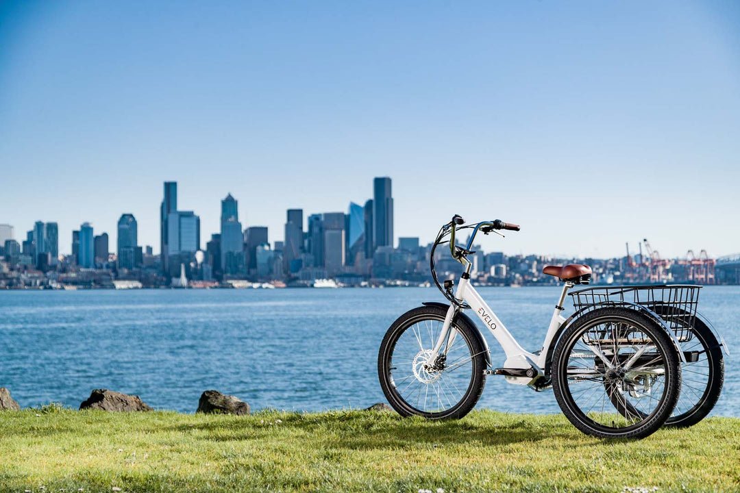 EVELO Compass Electric Trike - EVELO