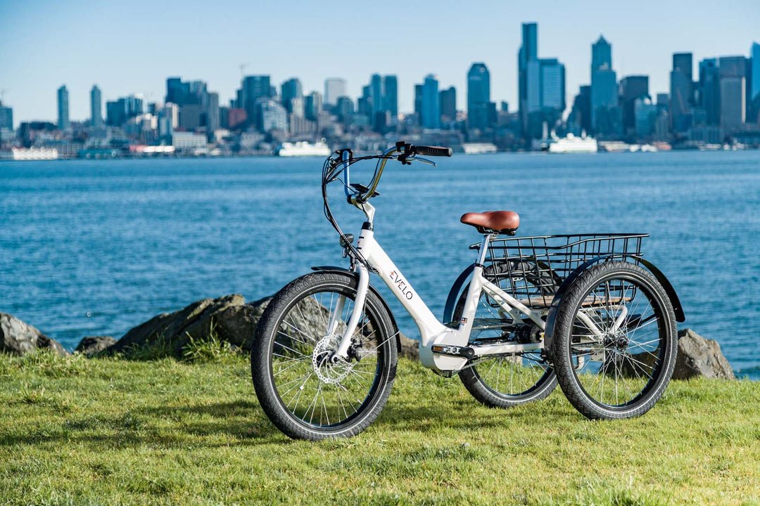 EVELO Compass Electric Trike - EVELO