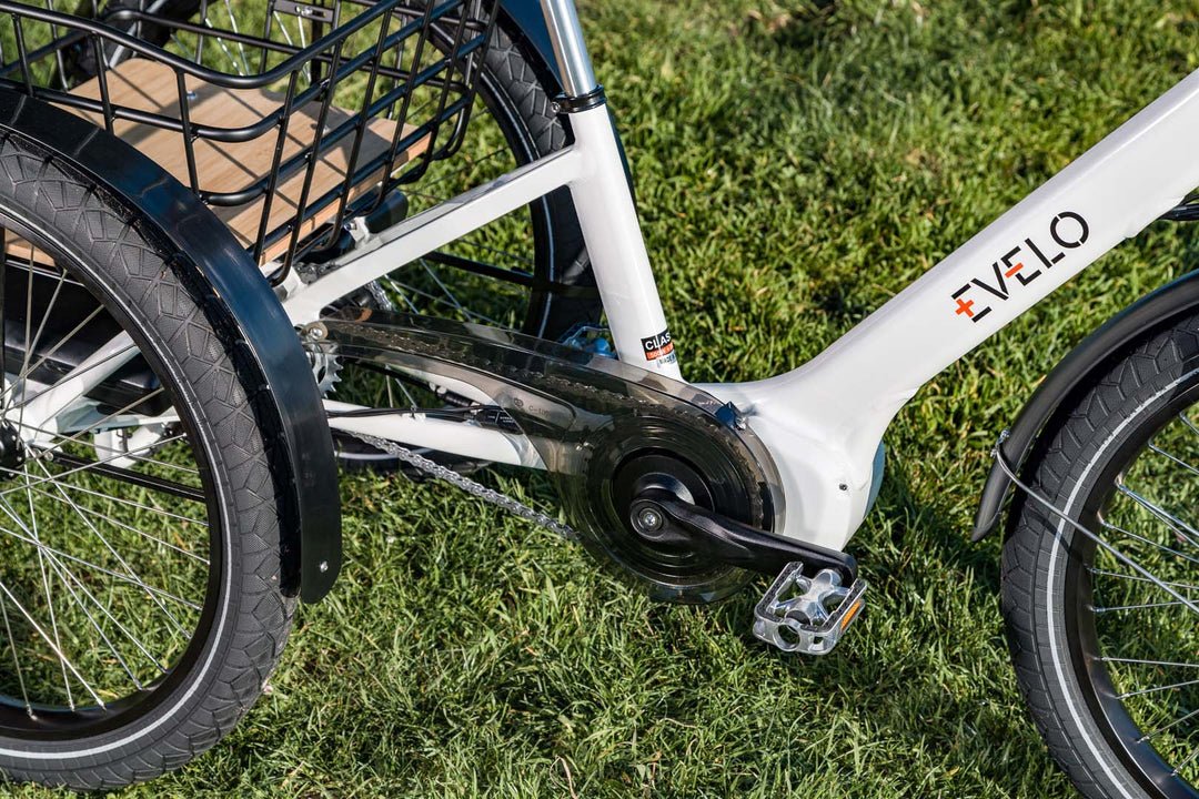 EVELO Compass Electric Trike - EVELO