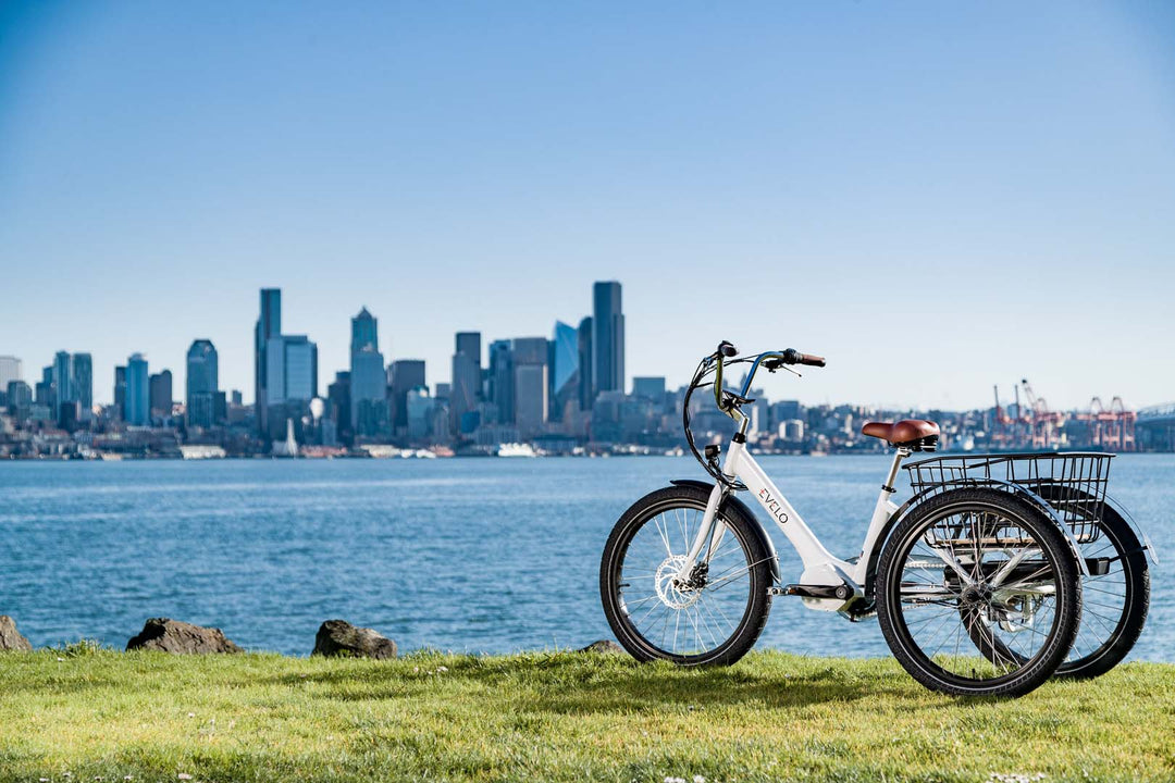 EVELO Compass Electric Tricycle