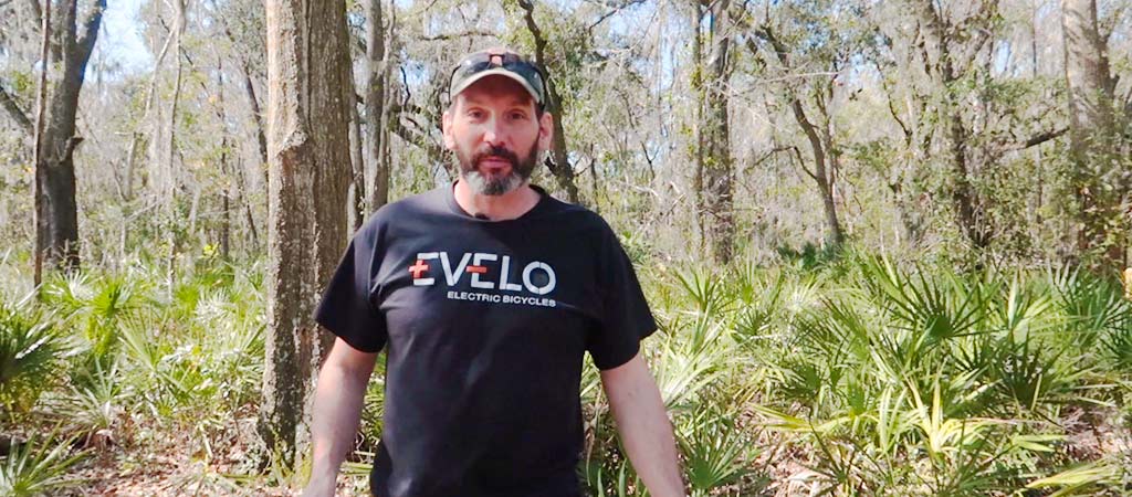 Seat and Handlebar Position