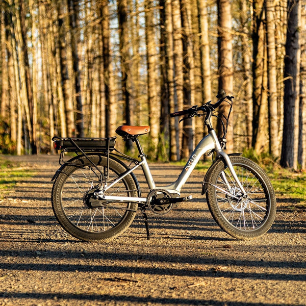 5 Ways Electric Bikes Help You Lose Weight  EVELO