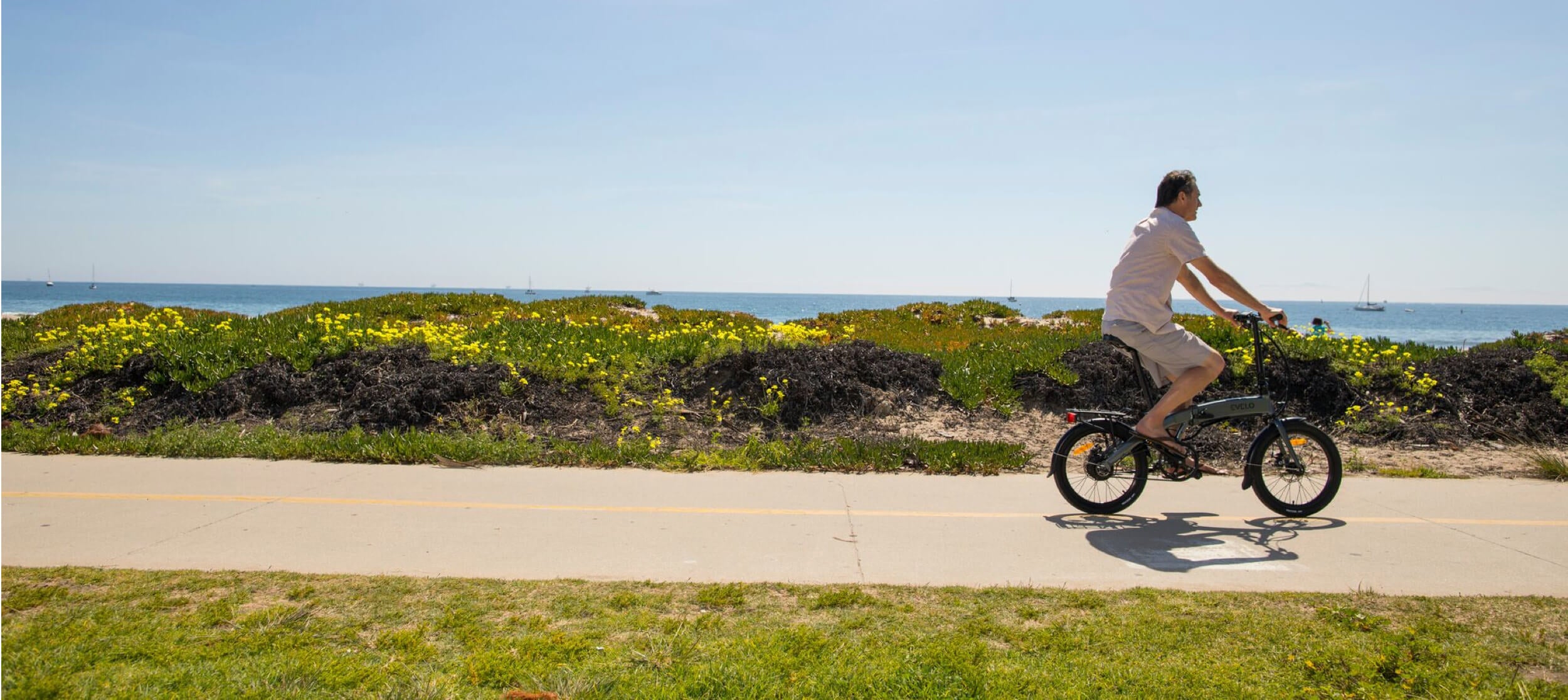 Exercise Guide for Seniors