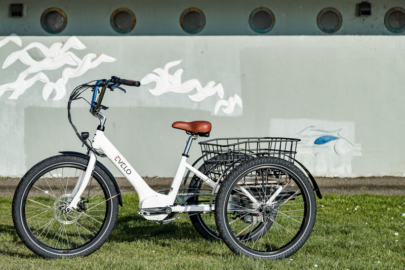 Exploring the Versatility of the EVELO Compass Electric Tricycle