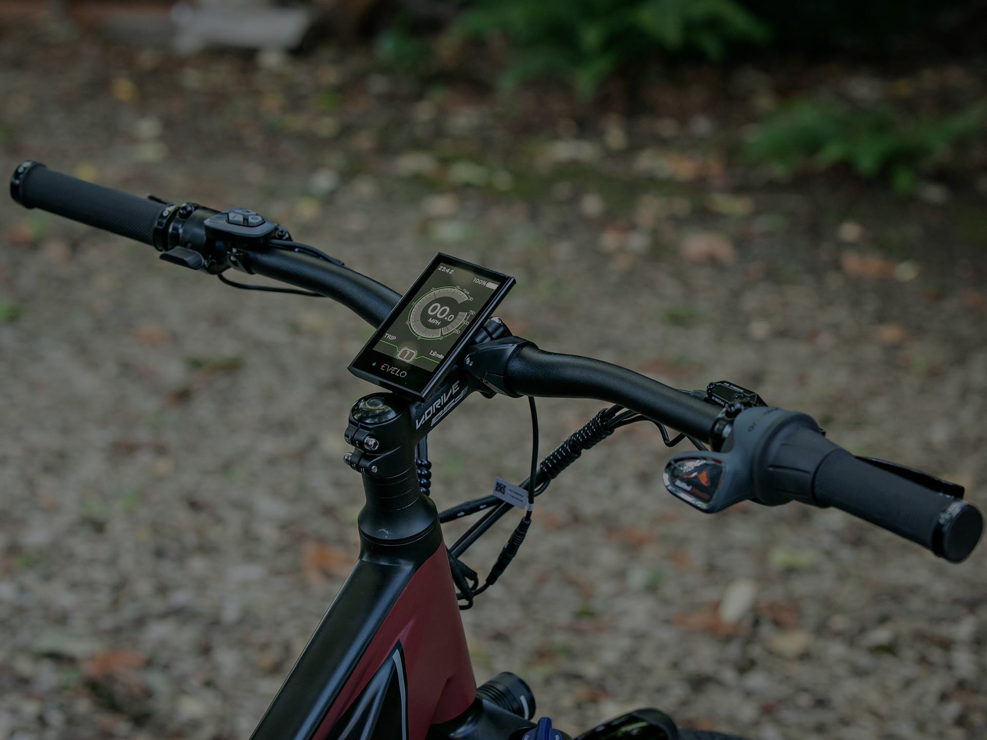 WHY CHOOSE AN ELECTRIC BIKE?