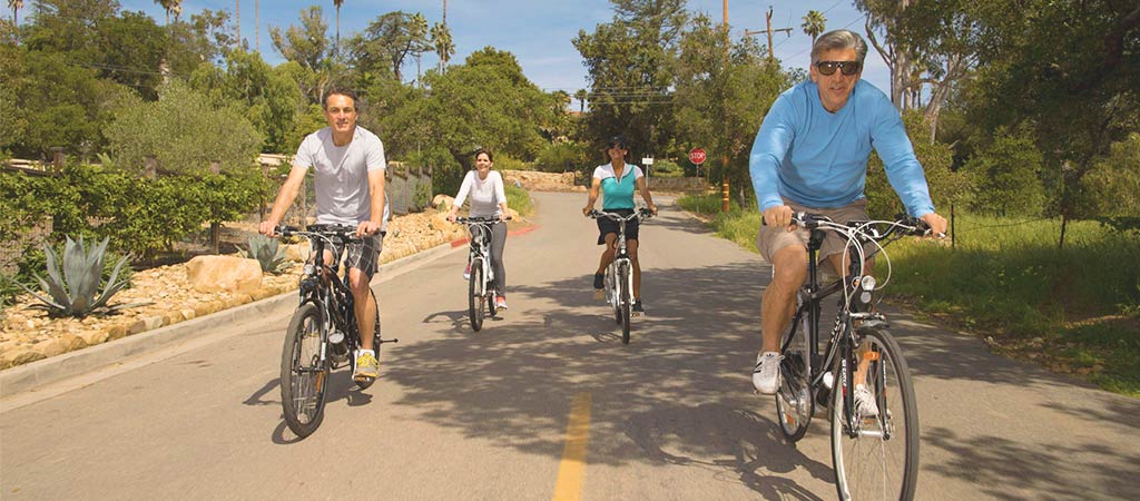 A Survey of U. S. Electric Bike Owners and Interested Consumers - EVELO