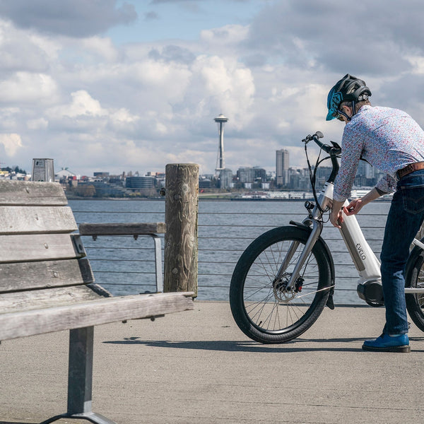 my electric bicycle WERHY Bike for Adults, 500W Motor, 20 MPH Max Speed Folding Ebike, 14
