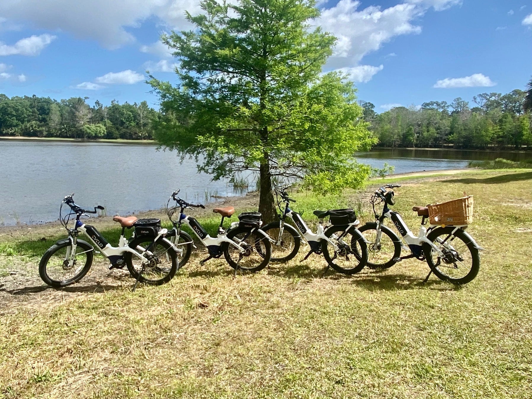 How to Maintain an Electric Bike - EVELO