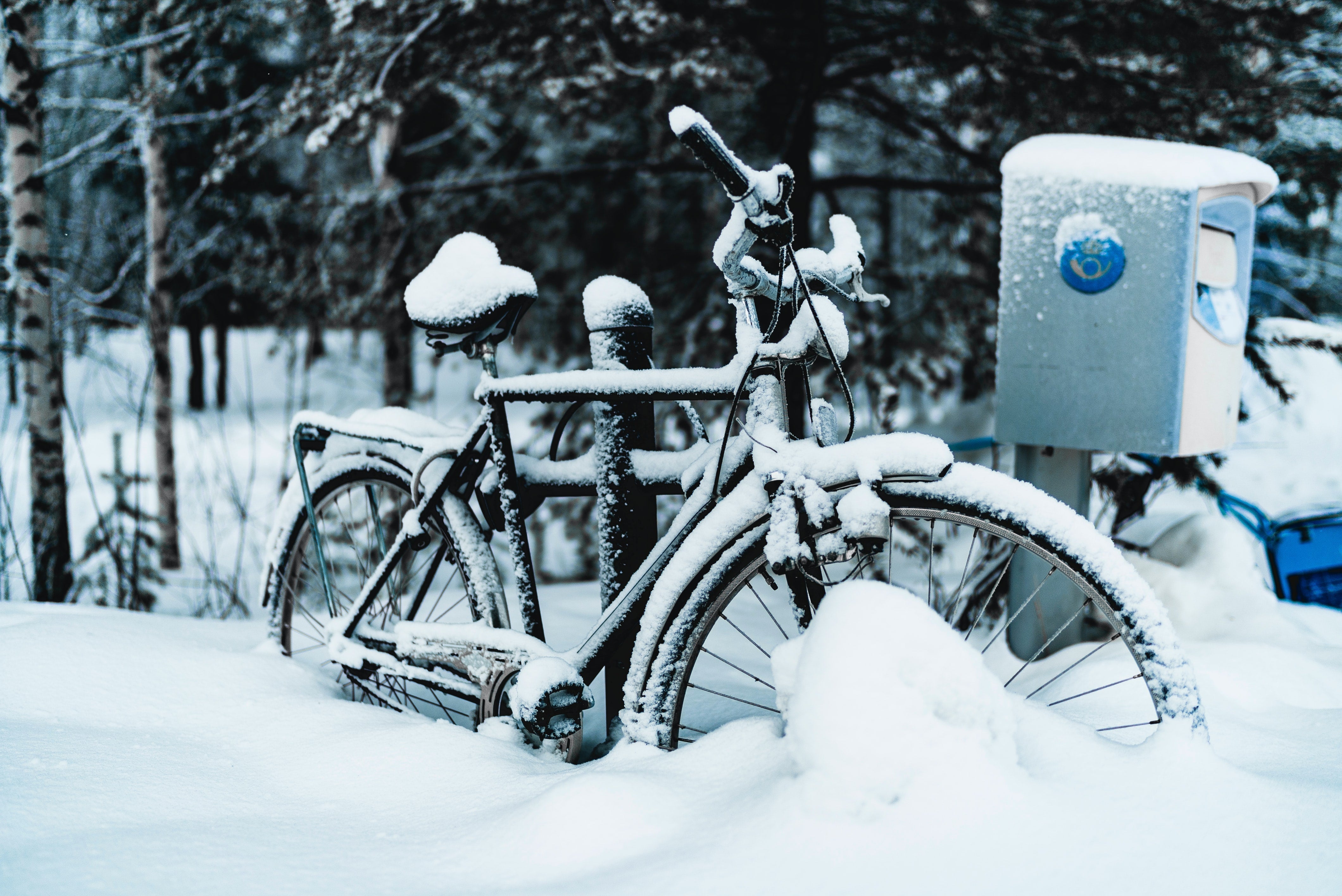 How to store your ebike for the winter - EVELO