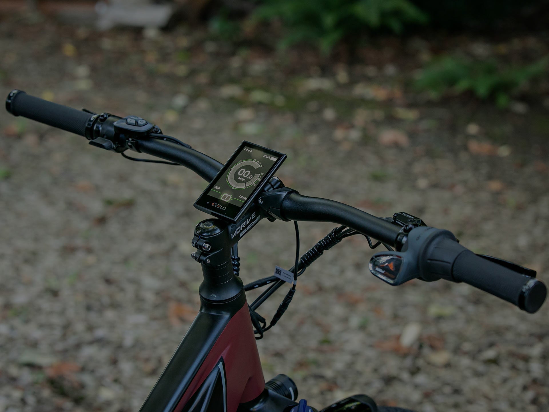 WHY CHOOSE AN ELECTRIC BIKE? - EVELO