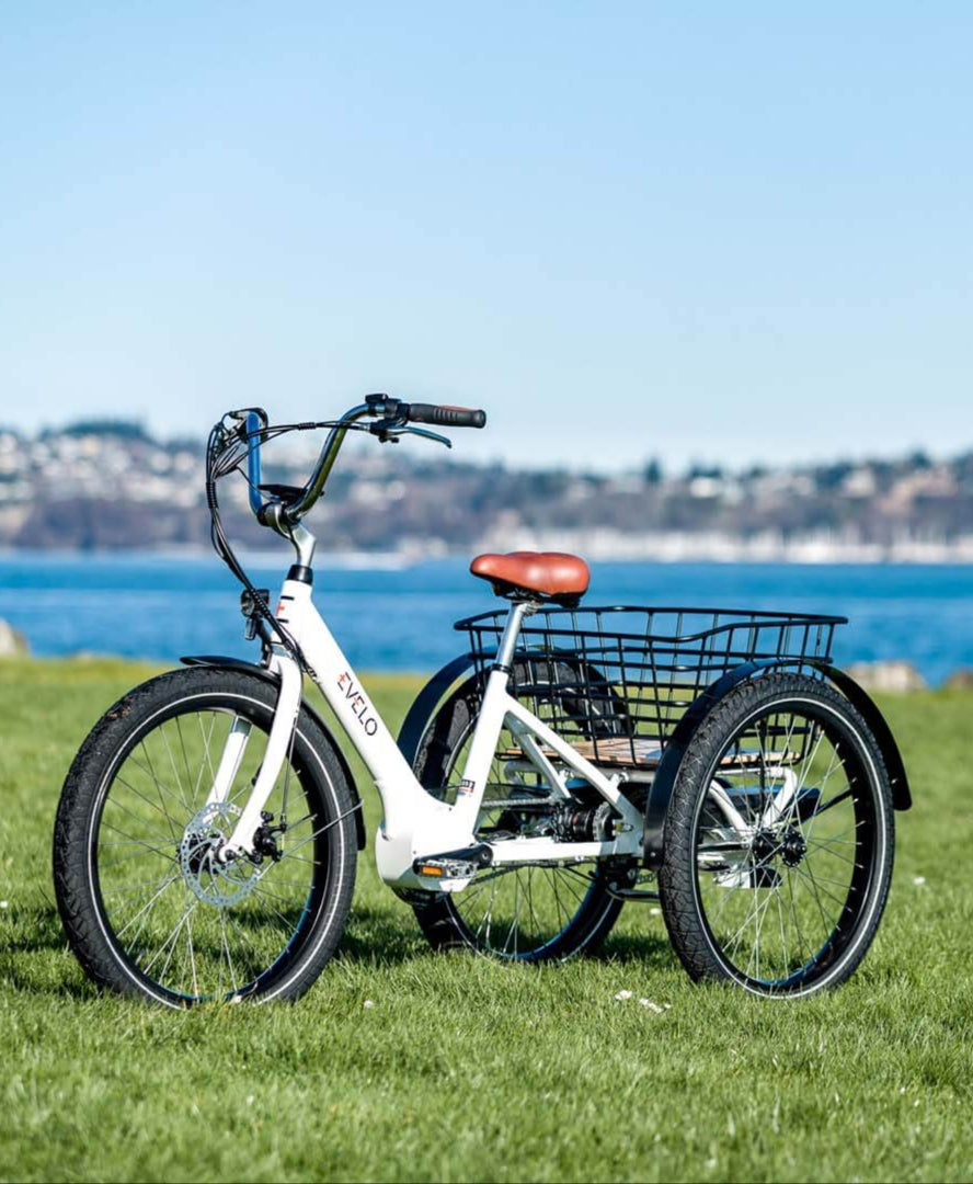 Compass Electric Tricycle