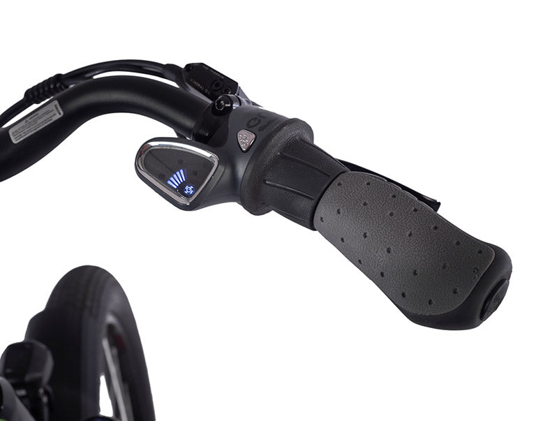 Copy of Aurora Limited Edition - Mid-drive, 750W Motor, Fully Automatic Transmission, Belt Drive, 14.5Ah Battery